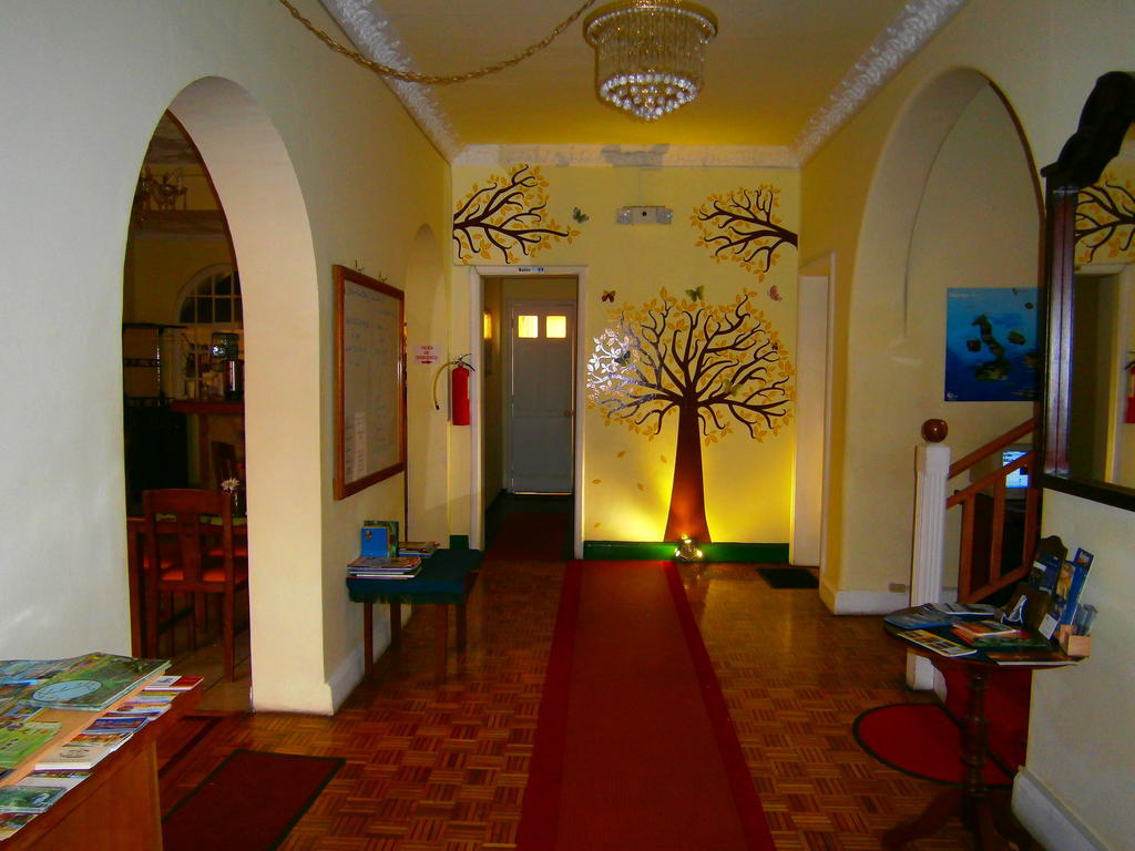 קיטו The Yellow House מראה חיצוני תמונה